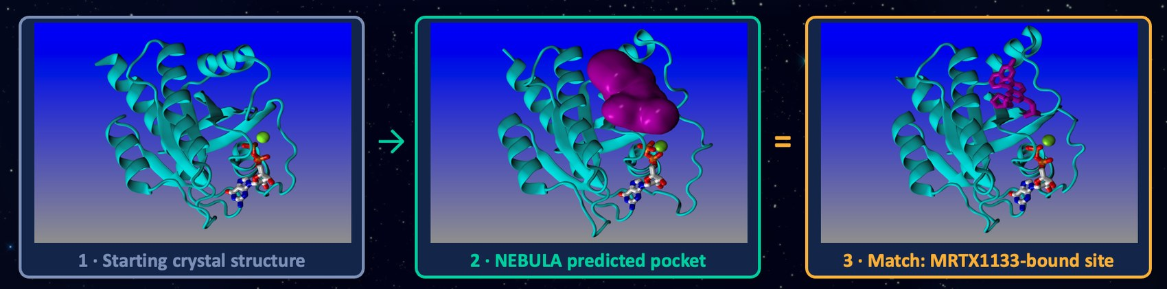 A binding site absent from the crystal structure, recovered from the dynamics. Figure supplied by NEBULA. The algorithm was given one input, the deposited crystal structure, and recovered the site later occupied by MRTX1133. Retrospective.